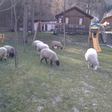 B&B La Miando Salza di Pinerolo Dış mekan fotoğraf
